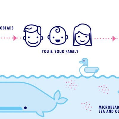 Microbeads are toxic magnets, making their way up the food chain